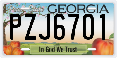 GA license plate PZJ6701