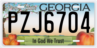 GA license plate PZJ6704