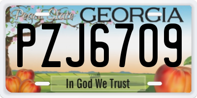 GA license plate PZJ6709