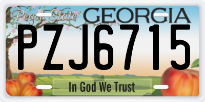 GA license plate PZJ6715