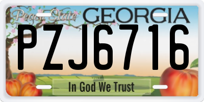 GA license plate PZJ6716