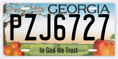 GA license plate PZJ6727