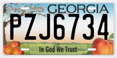 GA license plate PZJ6734