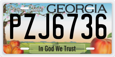 GA license plate PZJ6736