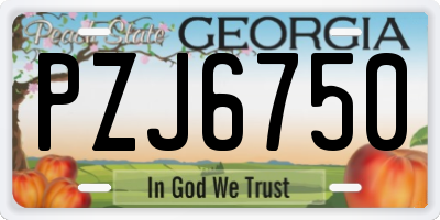 GA license plate PZJ6750