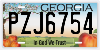 GA license plate PZJ6754