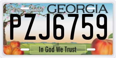 GA license plate PZJ6759