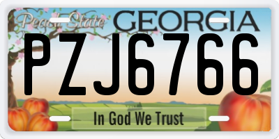 GA license plate PZJ6766