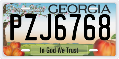 GA license plate PZJ6768