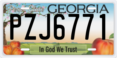 GA license plate PZJ6771