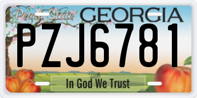 GA license plate PZJ6781