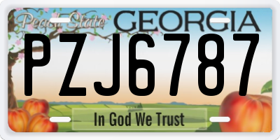 GA license plate PZJ6787
