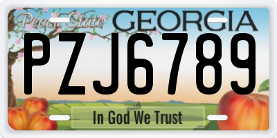 GA license plate PZJ6789