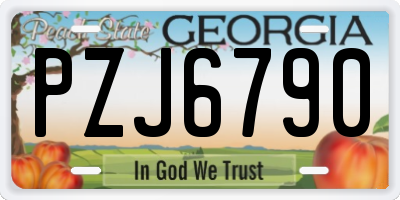 GA license plate PZJ6790