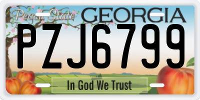 GA license plate PZJ6799