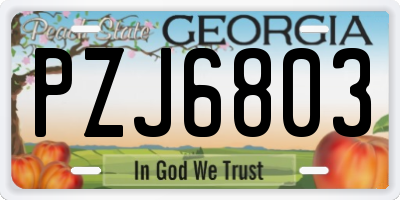 GA license plate PZJ6803