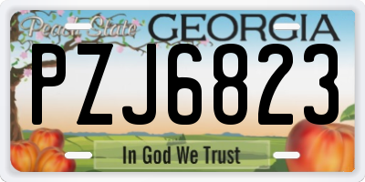 GA license plate PZJ6823
