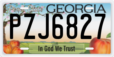 GA license plate PZJ6827