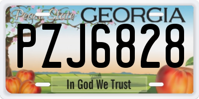 GA license plate PZJ6828
