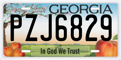 GA license plate PZJ6829