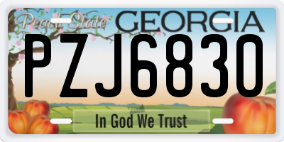 GA license plate PZJ6830