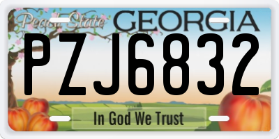GA license plate PZJ6832