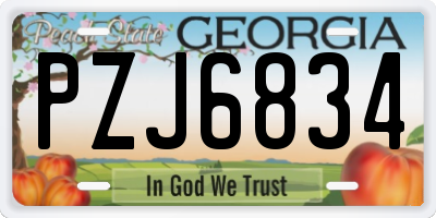 GA license plate PZJ6834
