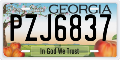 GA license plate PZJ6837