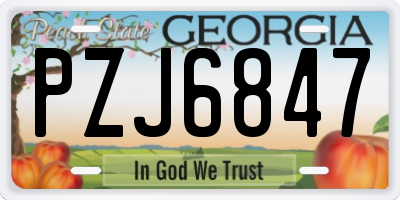 GA license plate PZJ6847
