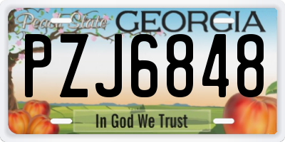 GA license plate PZJ6848