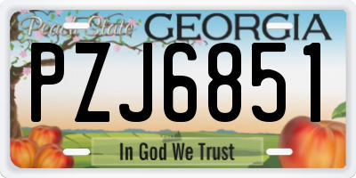 GA license plate PZJ6851