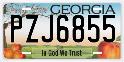 GA license plate PZJ6855