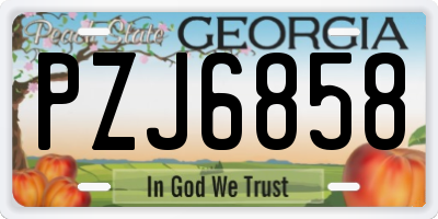 GA license plate PZJ6858