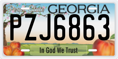GA license plate PZJ6863