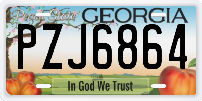 GA license plate PZJ6864