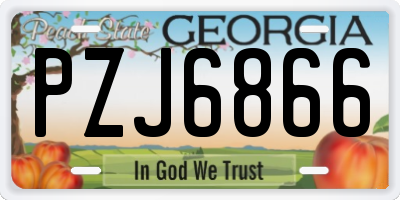 GA license plate PZJ6866