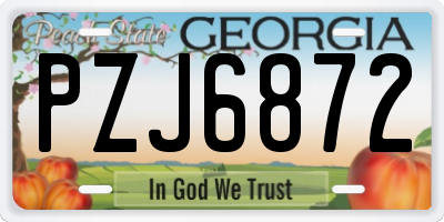 GA license plate PZJ6872