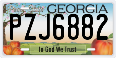 GA license plate PZJ6882