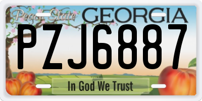 GA license plate PZJ6887