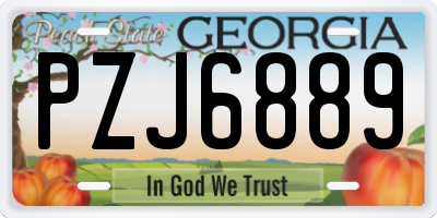 GA license plate PZJ6889