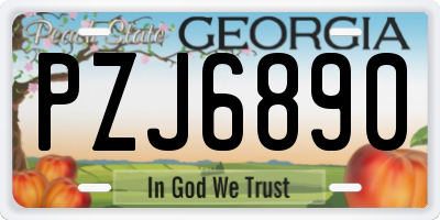 GA license plate PZJ6890