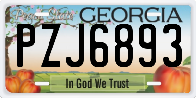 GA license plate PZJ6893