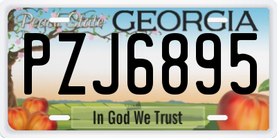 GA license plate PZJ6895