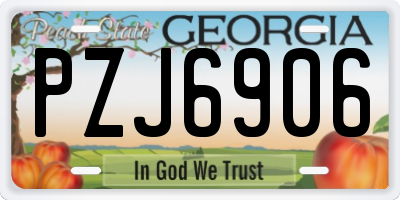 GA license plate PZJ6906