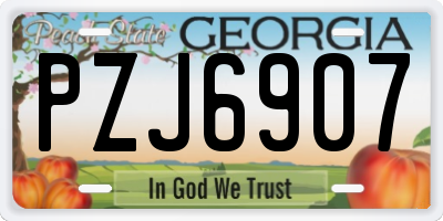 GA license plate PZJ6907