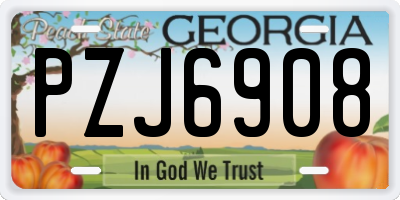 GA license plate PZJ6908