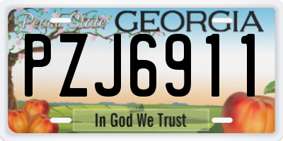 GA license plate PZJ6911