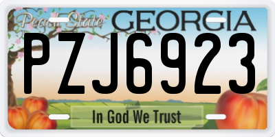 GA license plate PZJ6923
