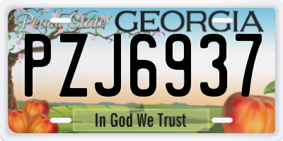 GA license plate PZJ6937
