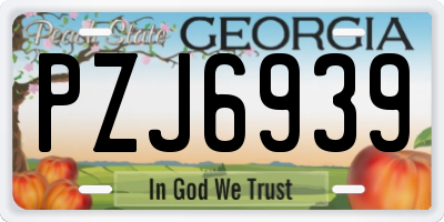 GA license plate PZJ6939